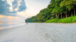 leisurely-havelock-neil-1