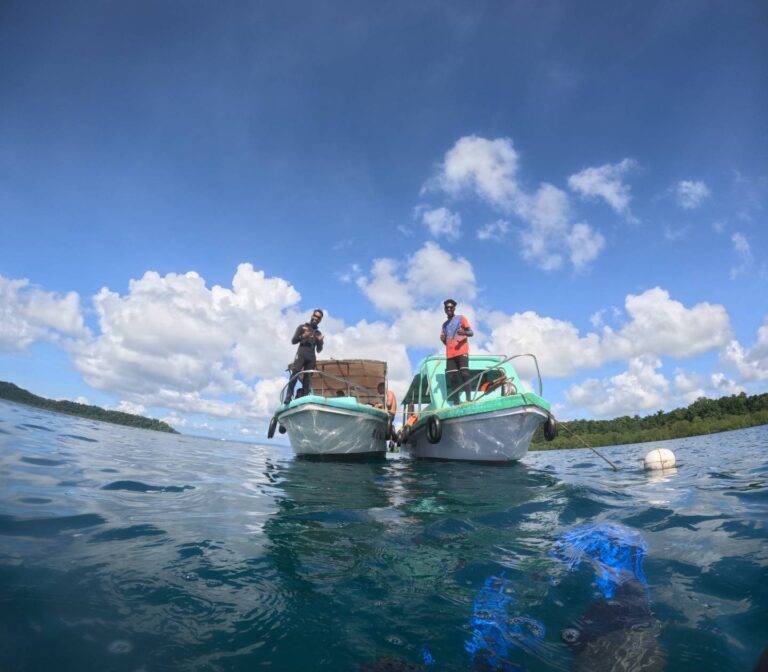 boat diving