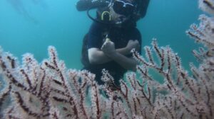 premium-diving-2