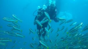 premium-diving-3