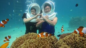 sea walk in andaman