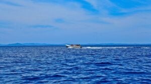 speed-boat-ride-5