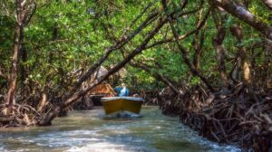still amazing_andaman_image_4_min