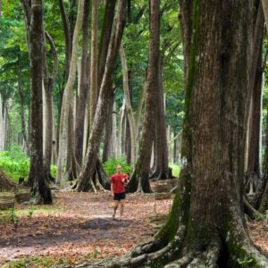 Trekking in Andaman at Havelock