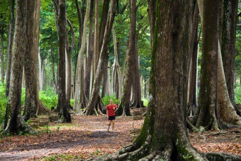 trekking in andaman