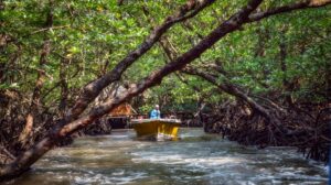 untamed-andaman-batrang-3