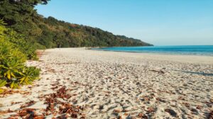 untamed-andaman-batrang-5