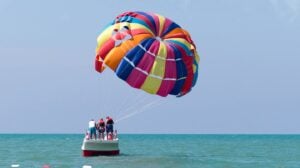 wings_image_2