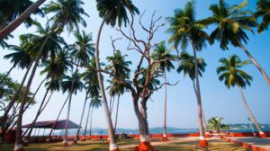 fun-filled-havelock-1