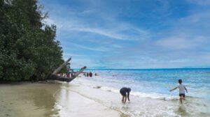 wonderful-havelock-3 (1)