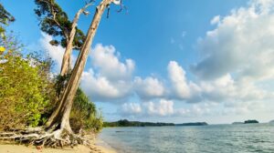 enthraliing-andaman's-4