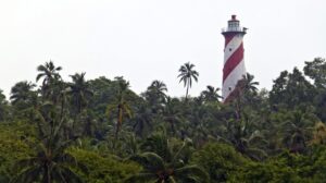 romantic-havelock-4 (1)