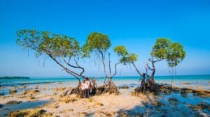 short-glimpse of-andaman-4 (1)