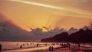 wonderful-havelock-4 (1)