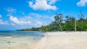 fun-filled-havelock-5