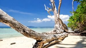 3 nights 4 days package andaman