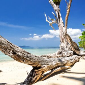 3 nights 4 days package andaman