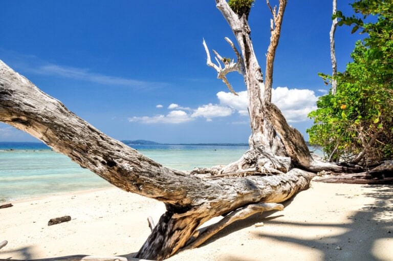 3 nights 4 days package andaman