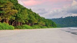 neil island tour packages