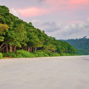 neil island tour packages