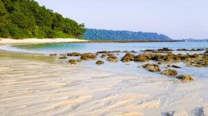 5 Nights 6 Days Solo Trip to Andaman and Nicobar