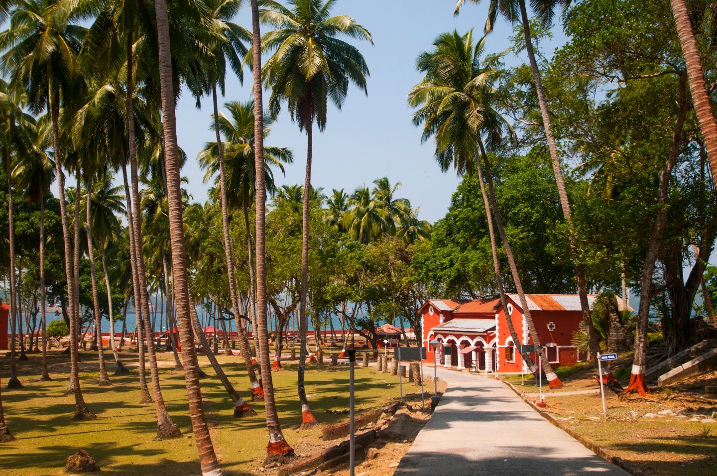 andaman itinerary for 5 days