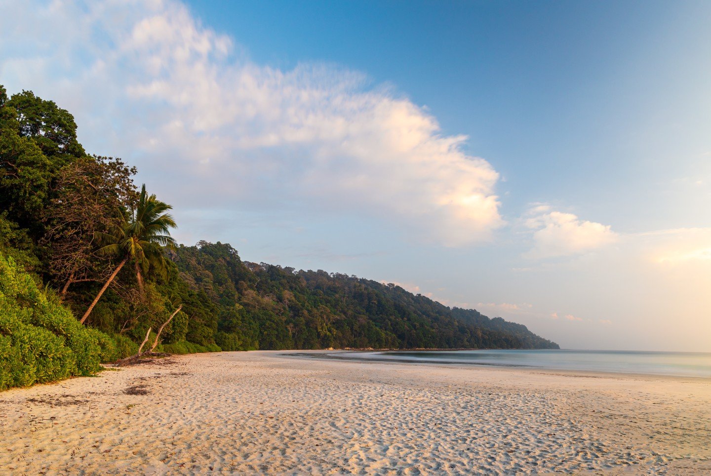 havelock island tour package