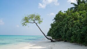 4 night 5 days andaman package