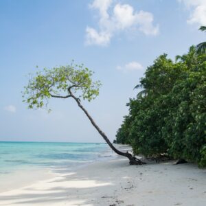 4 night 5 days andaman package