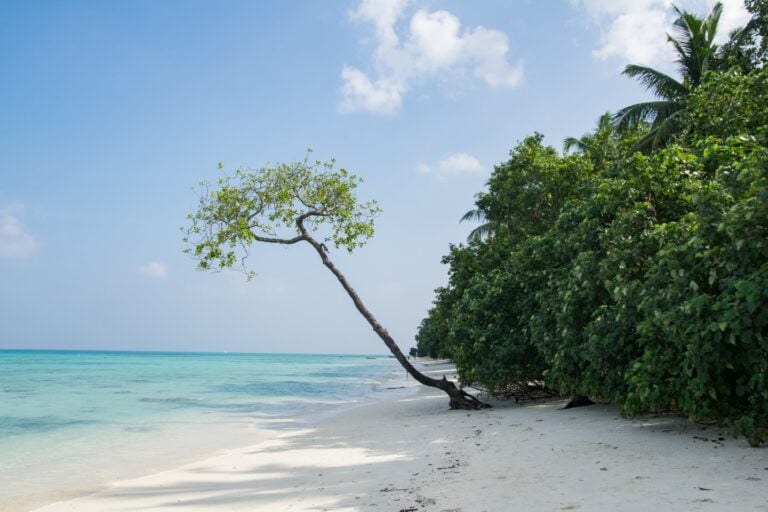 4 night 5 days andaman package