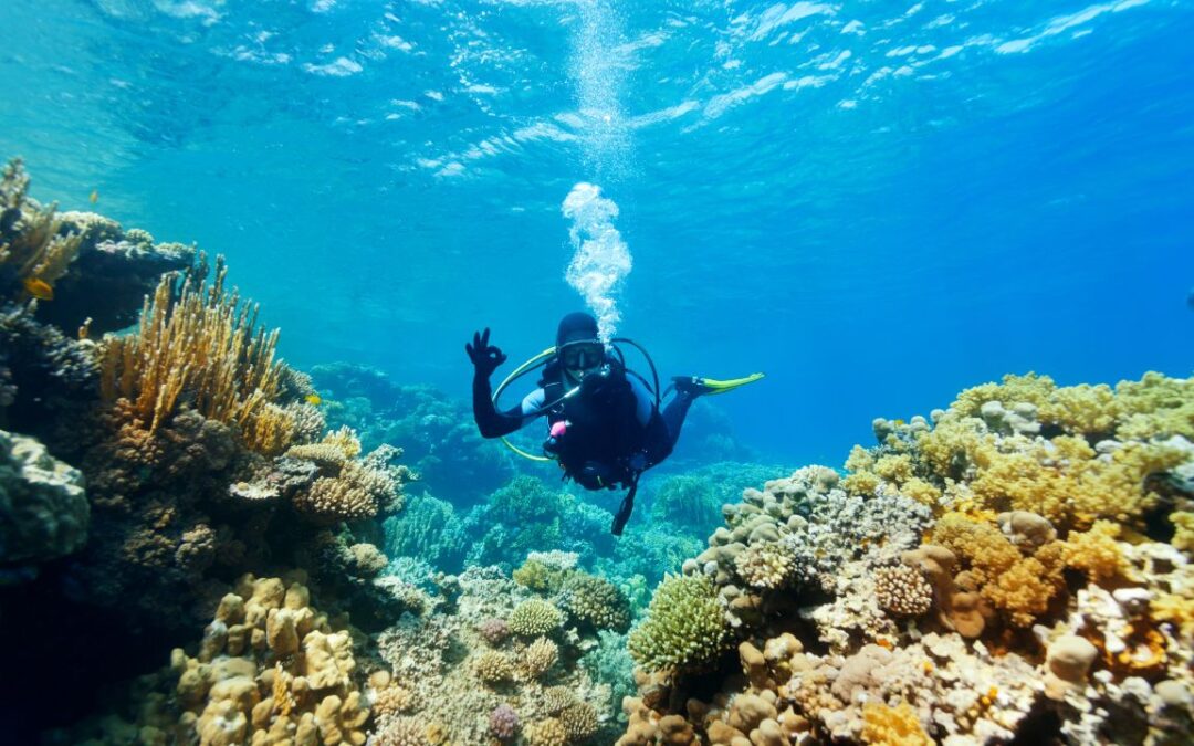 What are the Popular Water Sports in Andaman?