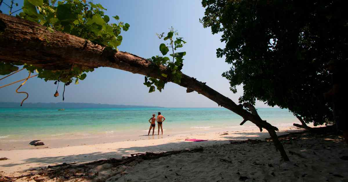 Havelock island things to do envato image