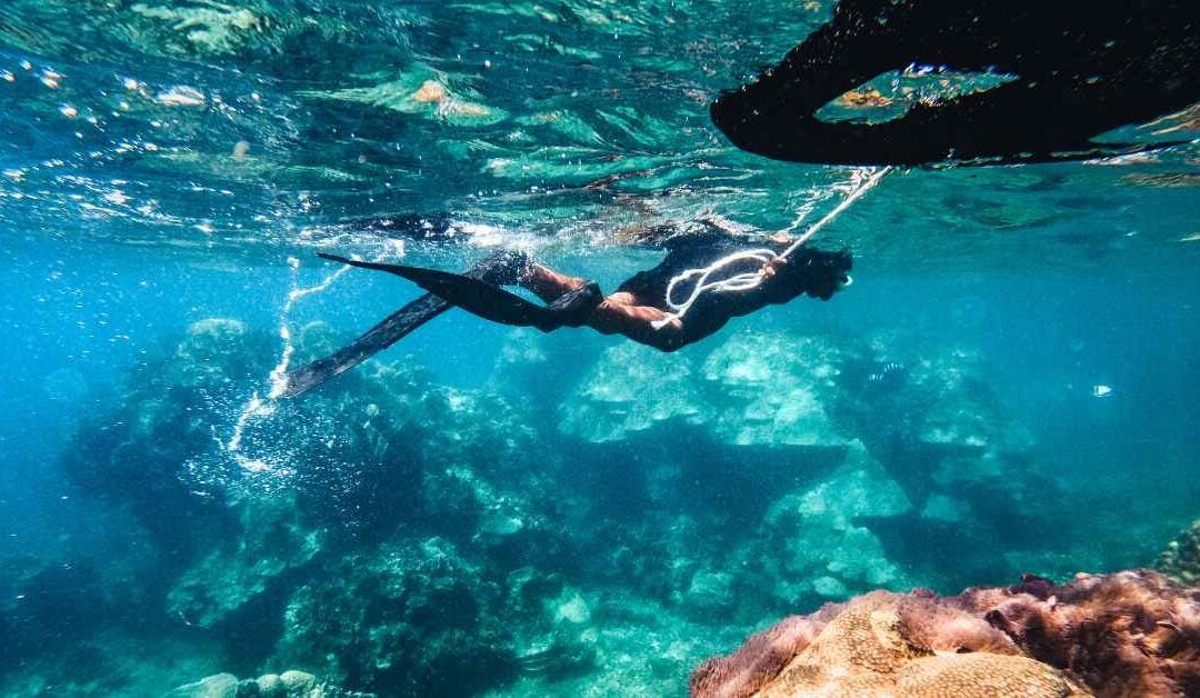 10 things to do in Neil island Andaman and Nicobar