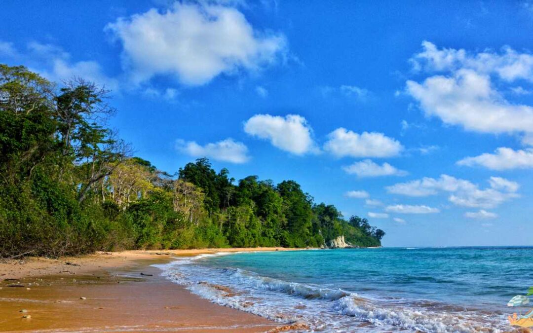 6 must visit beaches in Andaman and Nicobar Islands
