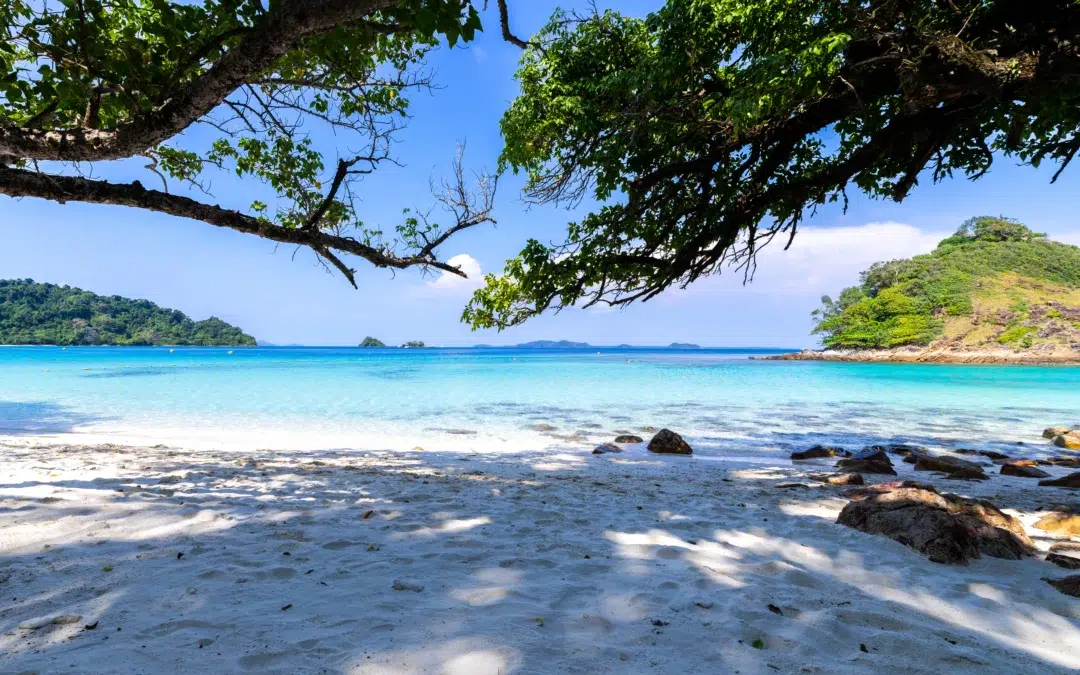 6 must visit beaches in Andaman and Nicobar Islands