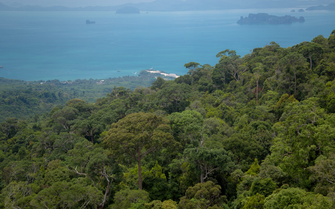 Explore the Lush Flora & Exotic Wildlife of Andaman!