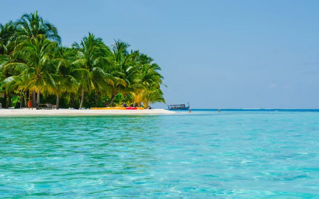 North Bay Island vs Havelock: Which Island Should You Visit?