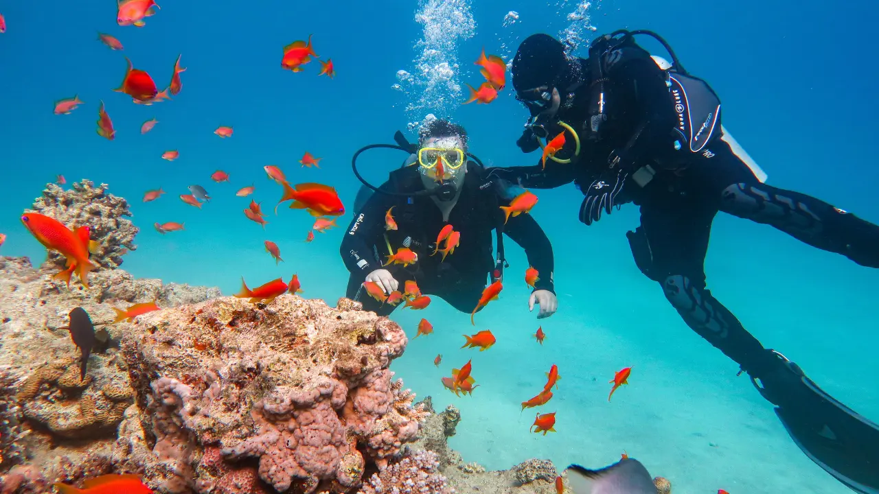 Scuba divers exploring coral reefs surrounded by colorful tropical fish in Andaman