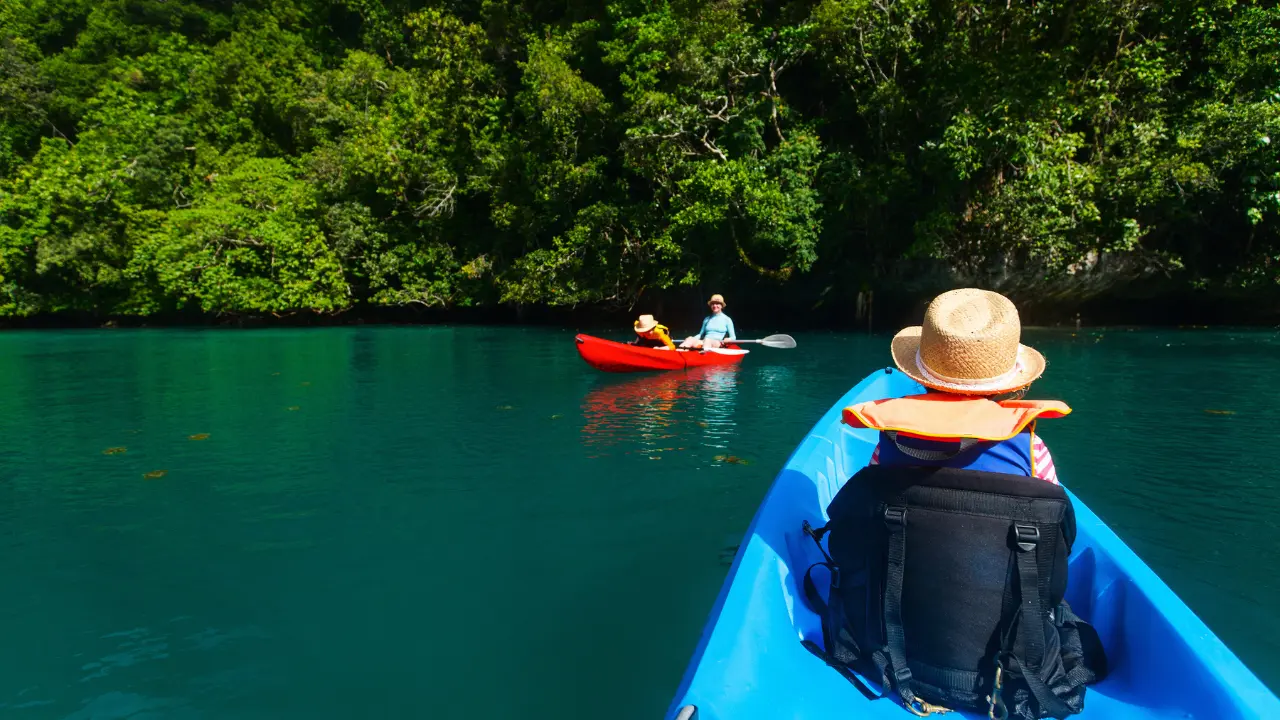 Tourists kayaking through a serene mangrove forest in Andaman