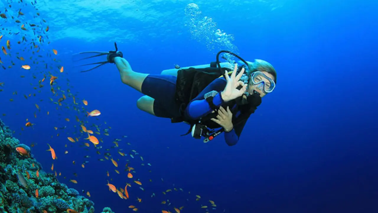 Scuba diving in Andaman Islands with vibrant coral reefs and clear blue waters