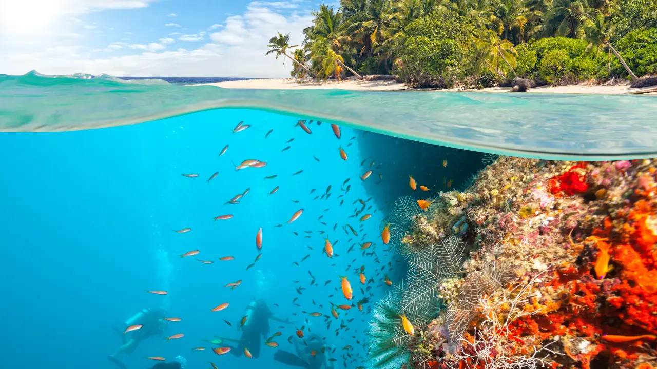Scuba Diving near Barren Island in Andaman – Colorful Reefs and Marine Life