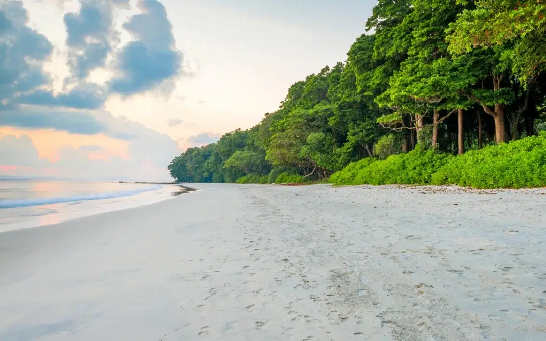 Andaman Tourism Guide 2025: Best Places, Experiences & Travel Tips for a Perfect Trip
