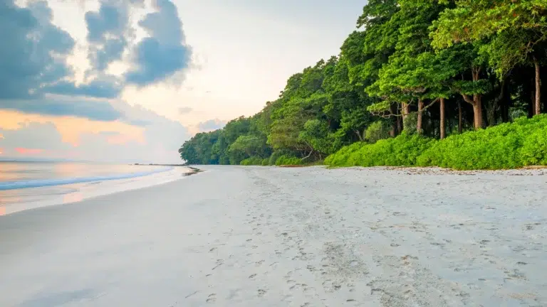 Scenic ocean view in Andaman Islands with glowing sapphire-blue water and calm skies