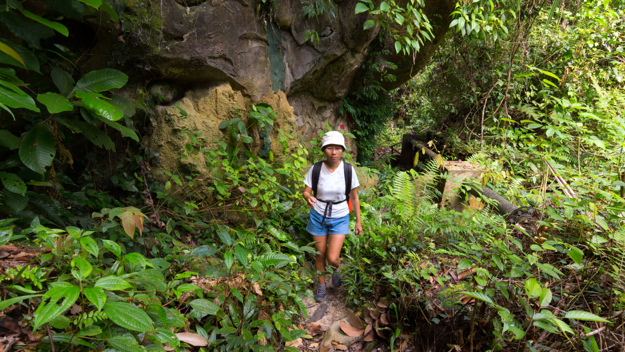 Trekker in lush rainforest on the way to Saddle Peak, the highest point in Andaman