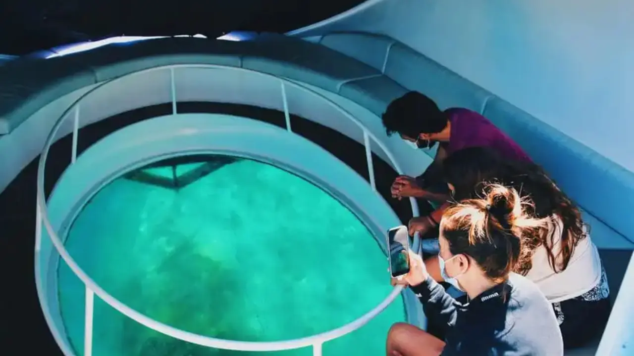 Tourists viewing marine life through a glass bottom boat