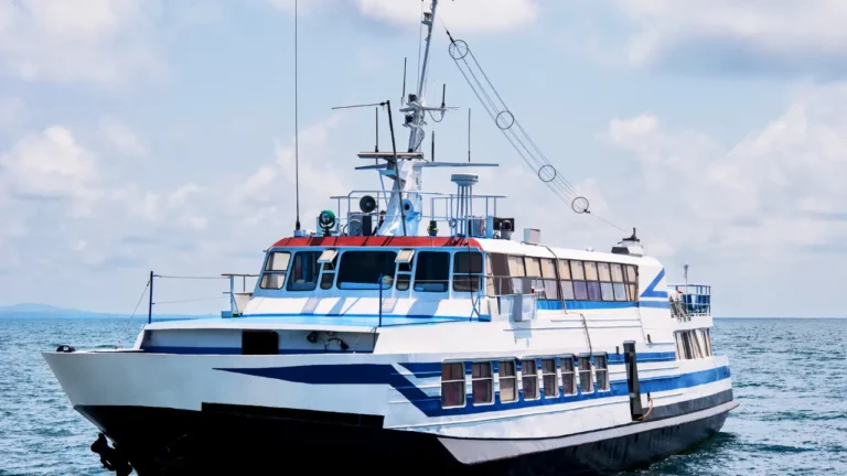 Passengers boarding a ship at Chennai Port for Andaman