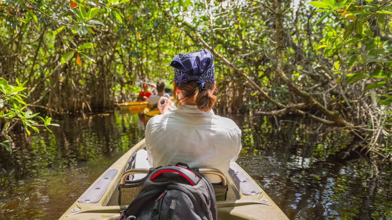 Kayaking near mangroves at Elephant Beach, Havelock Island